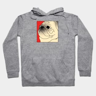 Pug Hoodie